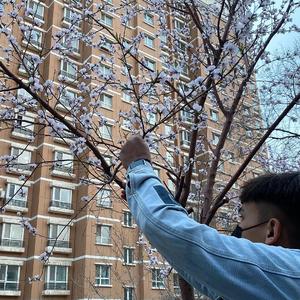 把坤寒定眼视频
