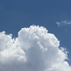 把坤寒定眼视频
